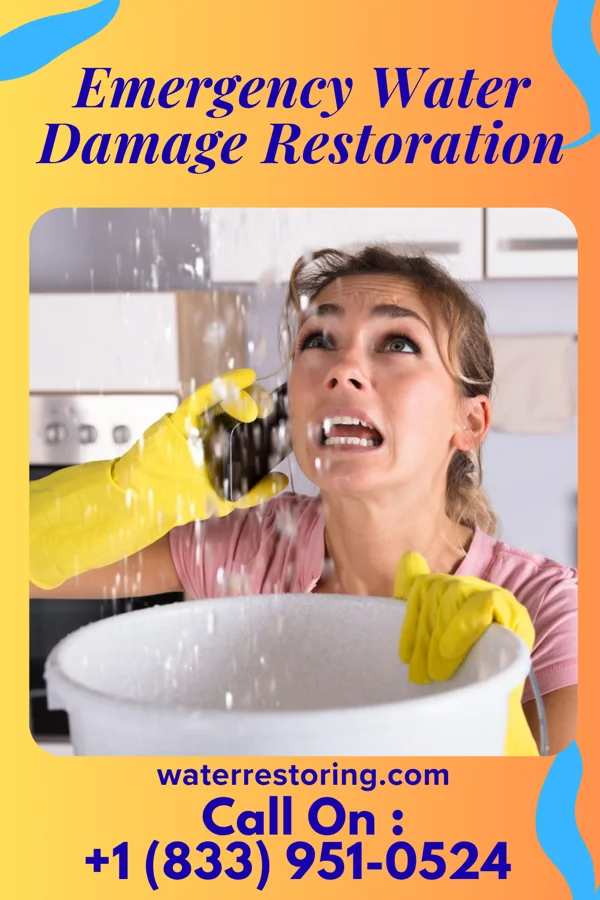 Emergency Water Damage Restoration in Riverpoint, WA